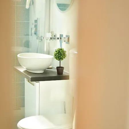 No 08 - Amarilia * Констанца