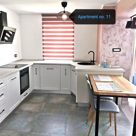 No 08 - Amarilia * Constanta