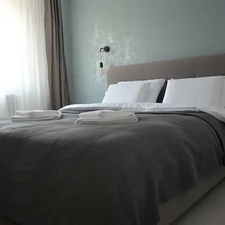 No 08 - Amarilia * كونستانتا