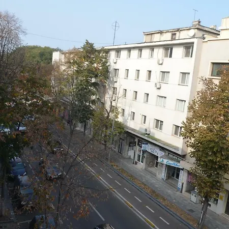 No 08 - Amarilia Constanta