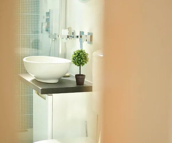 No 08 - Amarilia * Konstanca