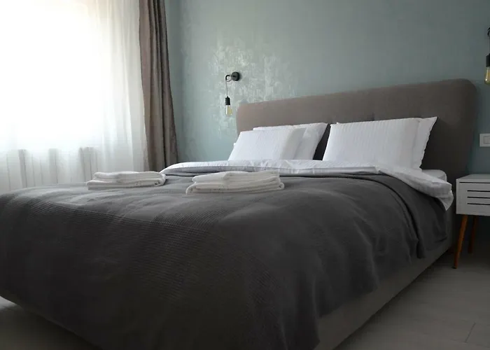 No 08 - Amarilia * Konstanca