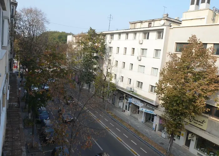 No 08 - Amarilia Konstanca